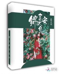 锦言不负安和封面
