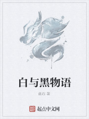 100世纪——白与黑物语封面