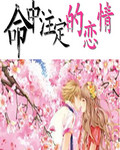 命中注定的恋情封面