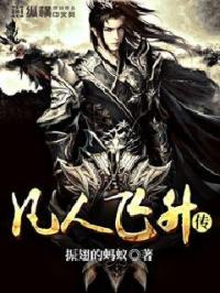 凡人飞仙传封面