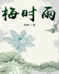 梅时雨封面