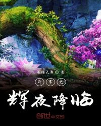 斗罗之辉夜降临封面