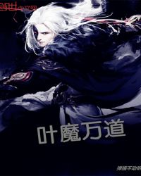 叶魔万道封面