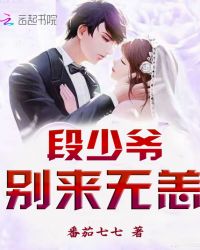 段少爷,别来无恙封面