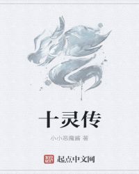 十灵传封面
