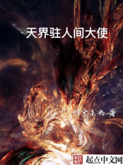 天界驻人间大使封面