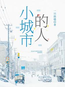 小城市的人封面
