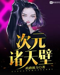 次元诸天壁封面