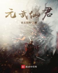 元武仙君封面