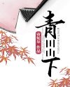 青田山下封面