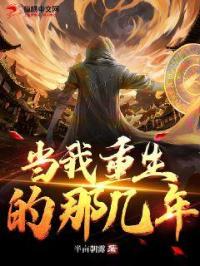 当我重生的那几年封面