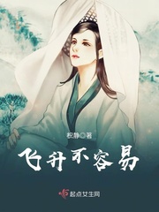 飞升不容易封面