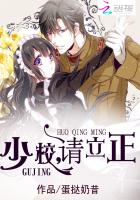 少校，请立正！封面