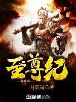 至尊纪封面