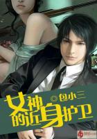 女神的近身护卫封面