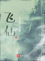 飞仙封面