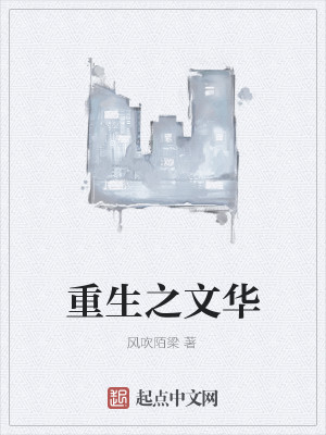 重生之文华封面