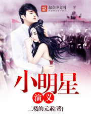 小明星演义封面