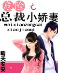 危险总裁小娇妻封面