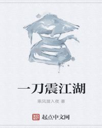 一刀震江湖封面