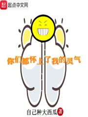 你们都染上了我的灵气封面