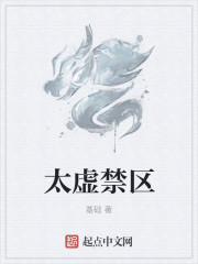 太虚禁区封面