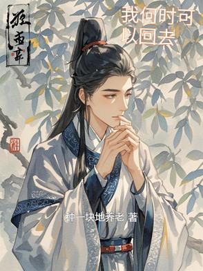 我何时可以回去封面
