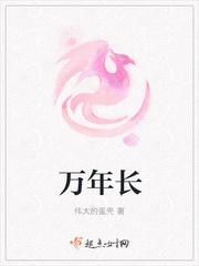 万年长封面
