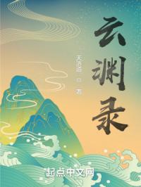 云渊录封面