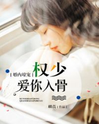 权少爱你入骨封面