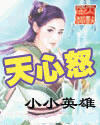 天心怒封面
