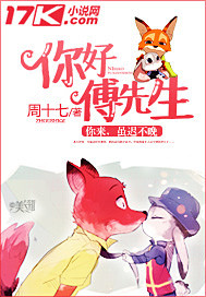 你好傅先生封面