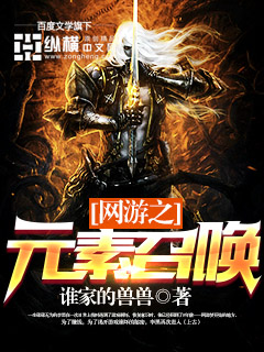 网游之元素召唤封面