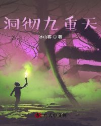 洞彻九重天封面