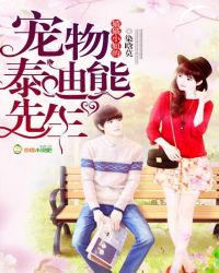 猫猫小姐的宠物泰迪熊先生封面