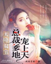 天降双宝：总裁爹地宠上天封面