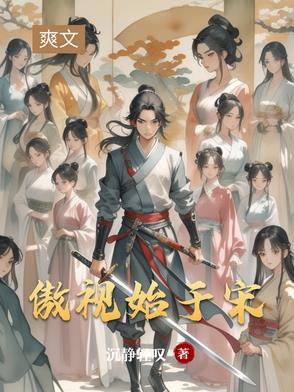 傲视始于宋封面