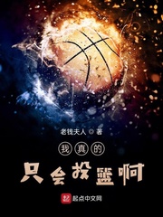 我真的只会投篮啊封面
