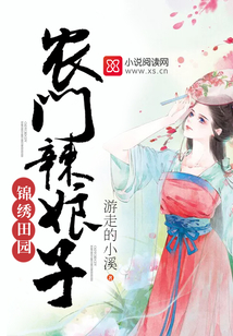 农门辣娘子封面
