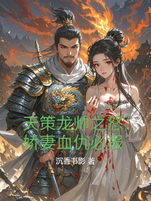 天策龙帅之怒：娇妻血仇必报封面