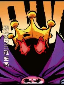 我是魔王维兹南封面