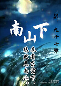 南山下封面