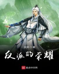 反派的荣耀封面