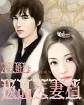 完美婚约之极品夫妻档封面