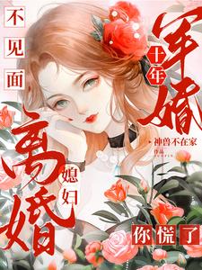 独守空房十年，首长归家媳妇跑了封面