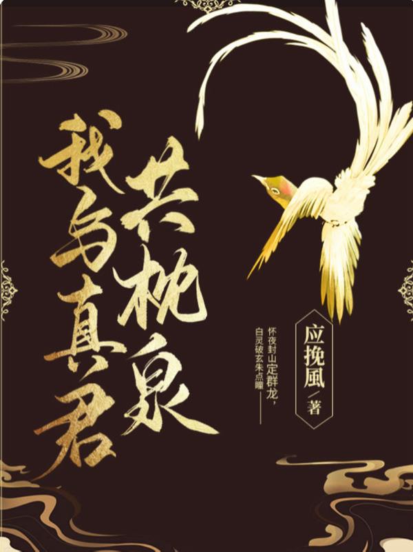 我与真君共枕泉封面