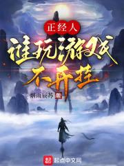 正经人谁玩游戏不开挂封面