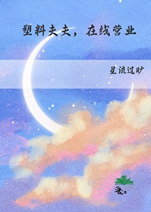塑料夫夫,在线营业封面