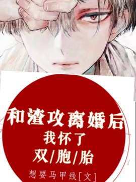 厉少后悔以后封面