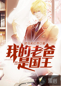 我的老爸是国王封面